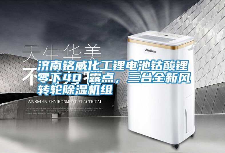 濟(jì)南銘威化工鋰電池鈷酸鋰零下40℃露點(diǎn)，三臺(tái)全新風(fēng)轉(zhuǎn)輪除濕機(jī)組