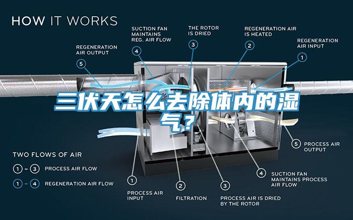 三伏天怎么去除體內(nèi)的濕氣？