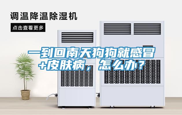 一到回南天狗狗就感冒+皮膚病，怎么辦？