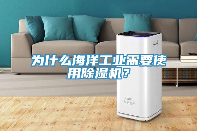 為什么海洋工業(yè)需要使用除濕機？