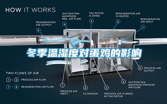 冬季溫濕度對(duì)蛋雞的影響