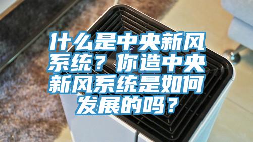 什么是中央新風系統(tǒng)？你造中央新風系統(tǒng)是如何發(fā)展的嗎？