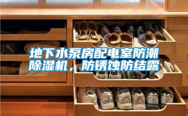 地下水泵房配電室防潮除濕機(jī)，防銹蝕防結(jié)露