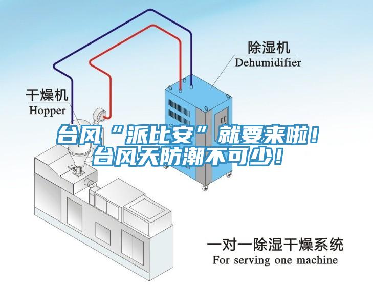 臺風“派比安”就要來啦！臺風天防潮不可少！