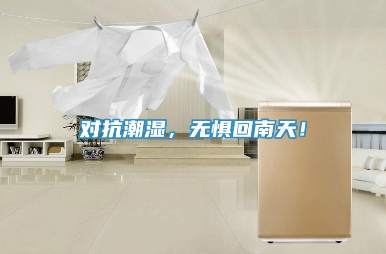 對抗潮濕，無懼回南天！