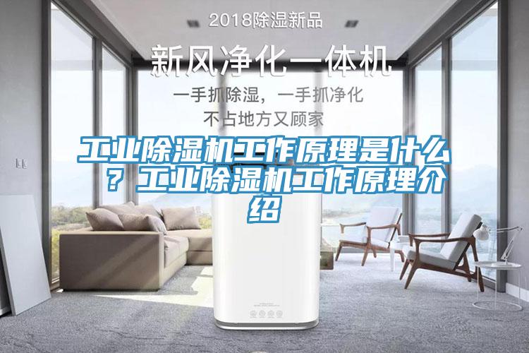 工業(yè)除濕機工作原理是什么 ？工業(yè)除濕機工作原理介紹