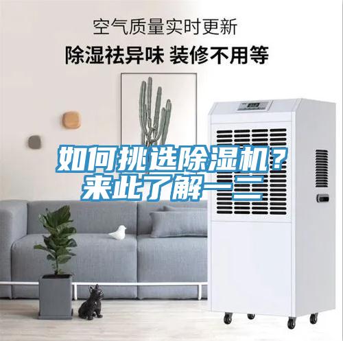 如何挑選除濕機？來此了解一二