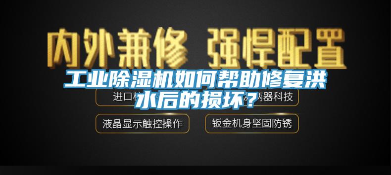 工業(yè)除濕機如何幫助修復(fù)洪水后的損壞？