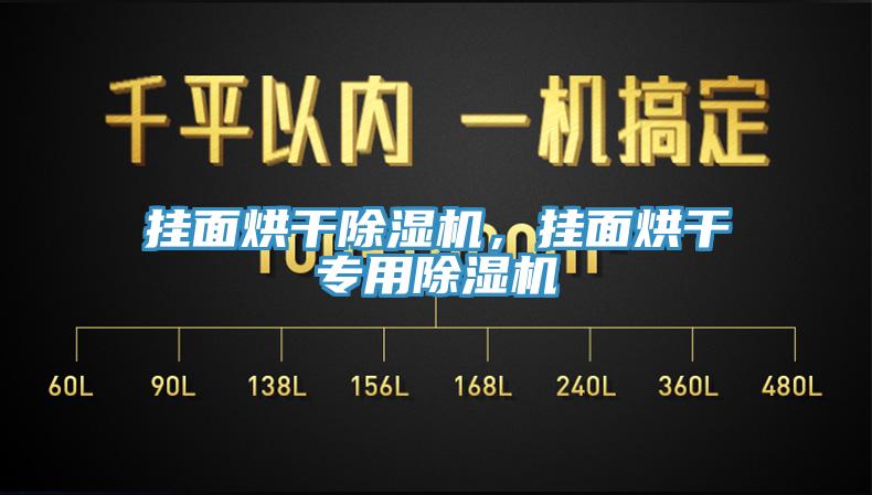 掛面烘干除濕機，掛面烘干專用除濕機