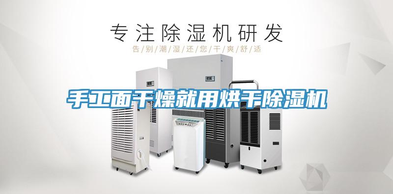 手工面干燥就用烘干除濕機