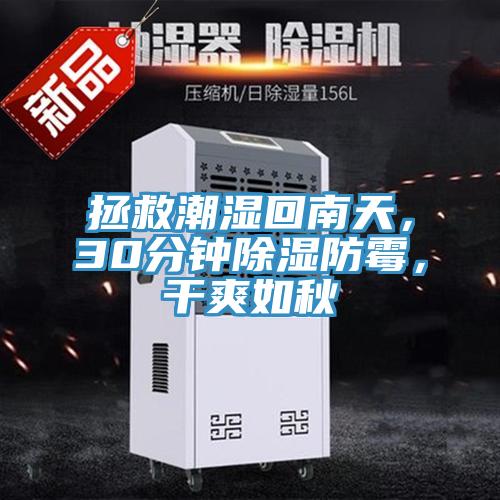 拯救潮濕回南天，30分鐘除濕防霉，干爽如秋