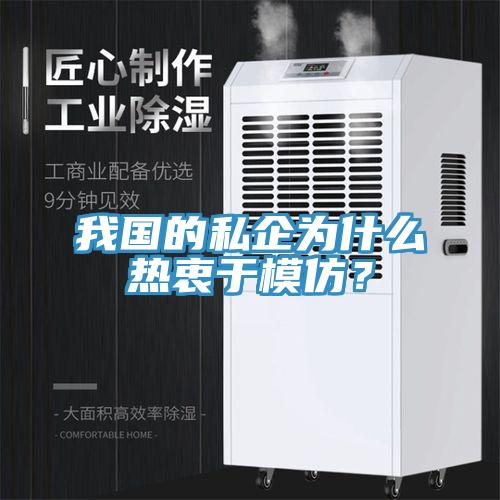 我國的私企為什么熱衷于模仿？