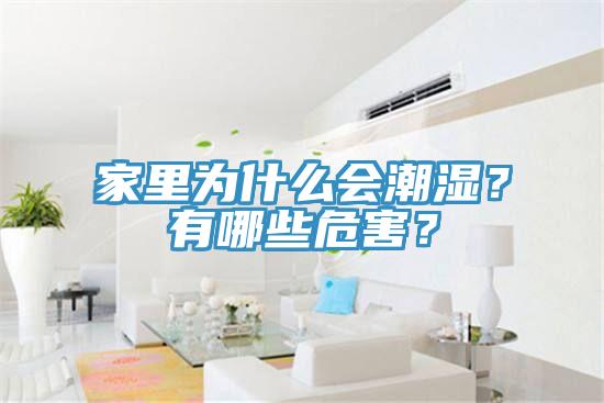 家里為什么會(huì)潮濕？有哪些危害？