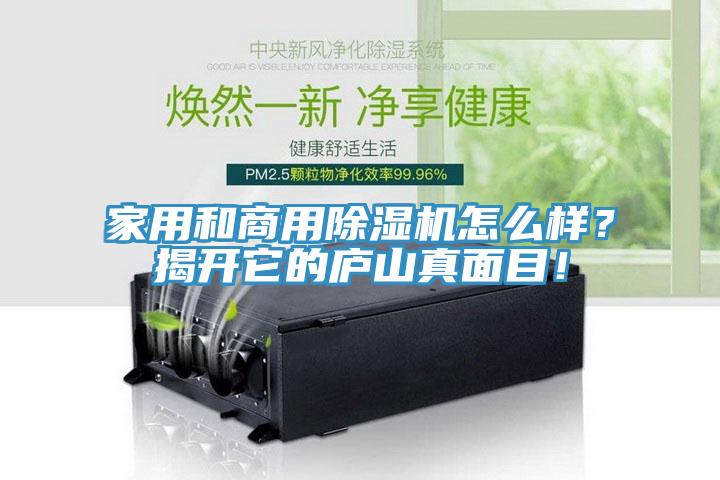 家用和商用除濕機(jī)怎么樣？揭開它的廬山真面目！