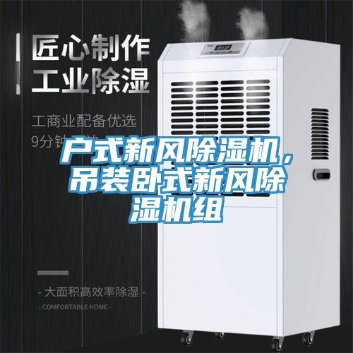 戶式新風除濕機，吊裝臥式新風除濕機組