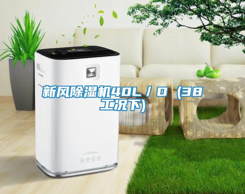 新風(fēng)除濕機(jī)40L／D (38工況下)