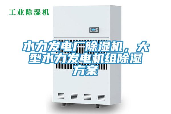 水力發(fā)電廠除濕機(jī)，大型水力發(fā)電機(jī)組除濕方案