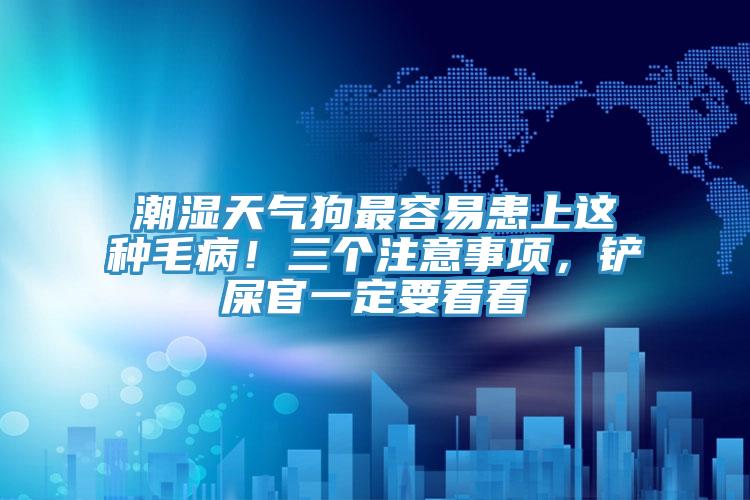 潮濕天氣狗最容易患上這種毛??！三個注意事項，鏟屎官一定要看看