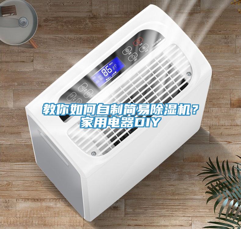 教你如何自制簡(jiǎn)易除濕機(jī)？家用電器DIY