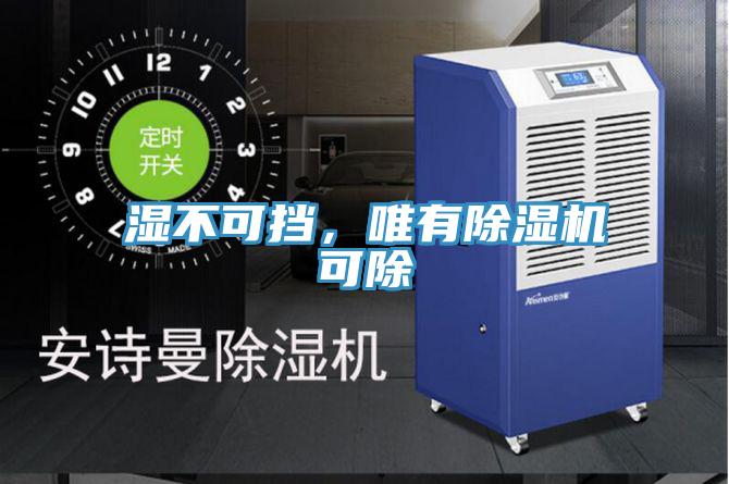 濕不可擋，唯有除濕機(jī)可除