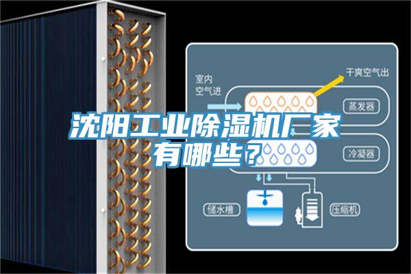 沈陽工業(yè)除濕機廠家有哪些？