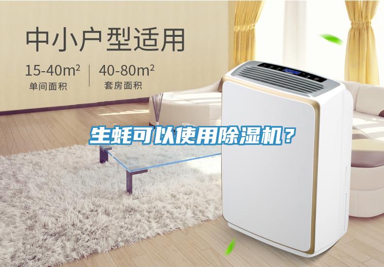 生蠔可以使用除濕機？