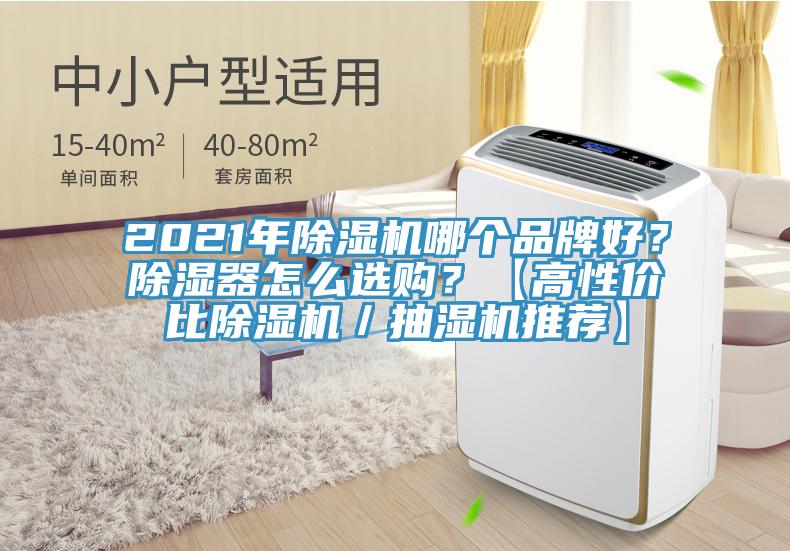 2021年除濕機(jī)哪個品牌好？除濕器怎么選購？【高性價比除濕機(jī)／抽濕機(jī)推薦】