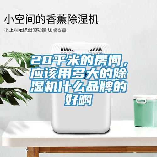 20平米的房間，應(yīng)該用多大的除濕機(jī)什么品牌的好啊