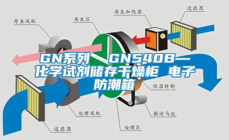 GN系列  GN540B—化學(xué)試劑儲存干燥柜 電子防潮箱