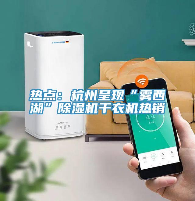 熱點：杭州呈現“霧西湖”除濕機干衣機熱銷