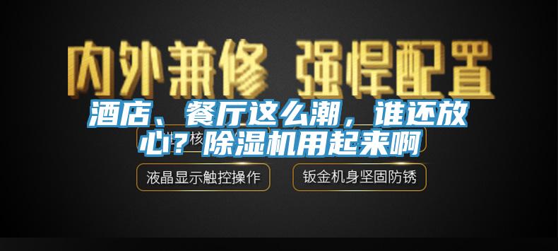 酒店、餐廳這么潮，誰(shuí)還放心？除濕機(jī)用起來(lái)啊