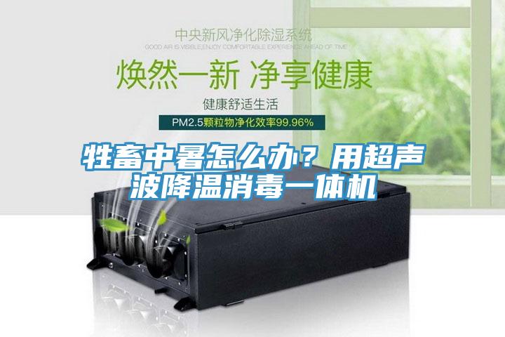 牲畜中暑怎么辦？用超聲波降溫消毒一體機(jī)