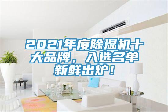 2021年度除濕機(jī)十大品牌，入選名單新鮮出爐！