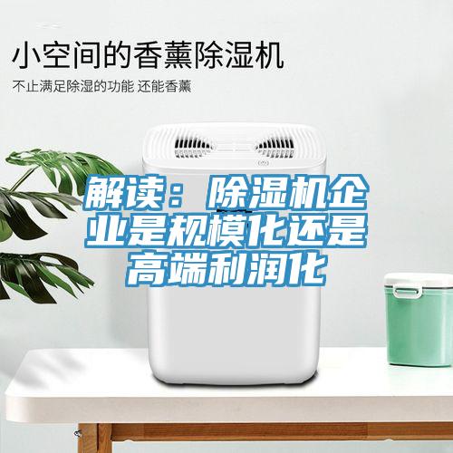 解讀：除濕機企業(yè)是規(guī)模化還是高端利潤化