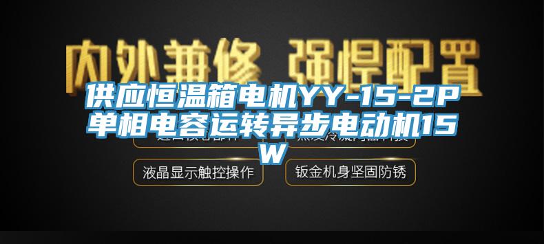 供應(yīng)恒溫箱電機(jī)YY-15-2P單相電容運(yùn)轉(zhuǎn)異步電動機(jī)15W