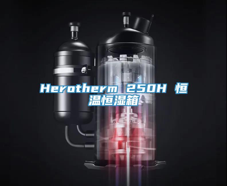 Herotherm 250H 恒溫恒濕箱