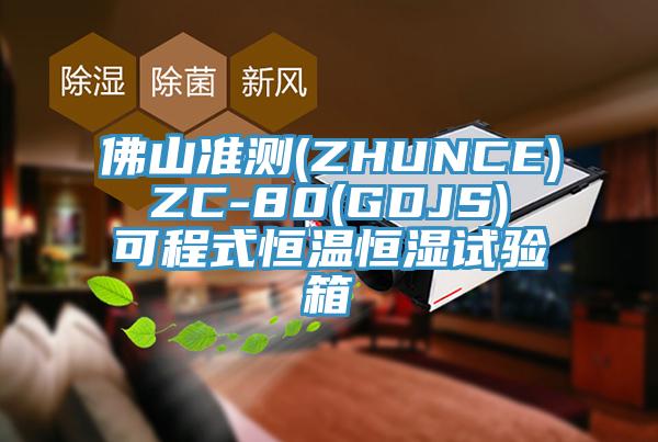 佛山準(zhǔn)測(cè)(ZHUNCE) ZC-80(GDJS) 可程式恒溫恒濕試驗(yàn)箱