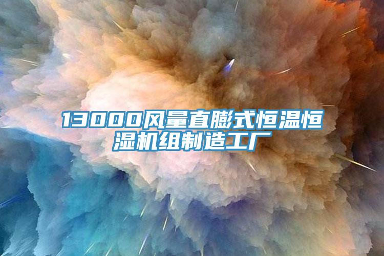 13000風(fēng)量直膨式恒溫恒濕機(jī)組制造工廠