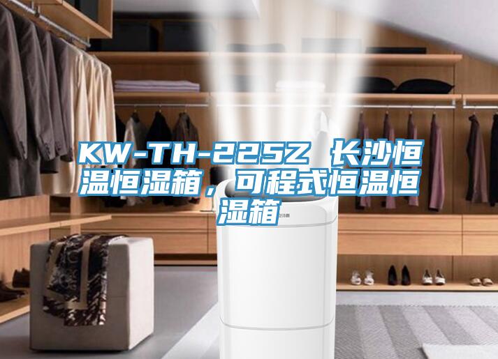 KW-TH-225Z 長(zhǎng)沙恒溫恒濕箱，可程式恒溫恒濕箱