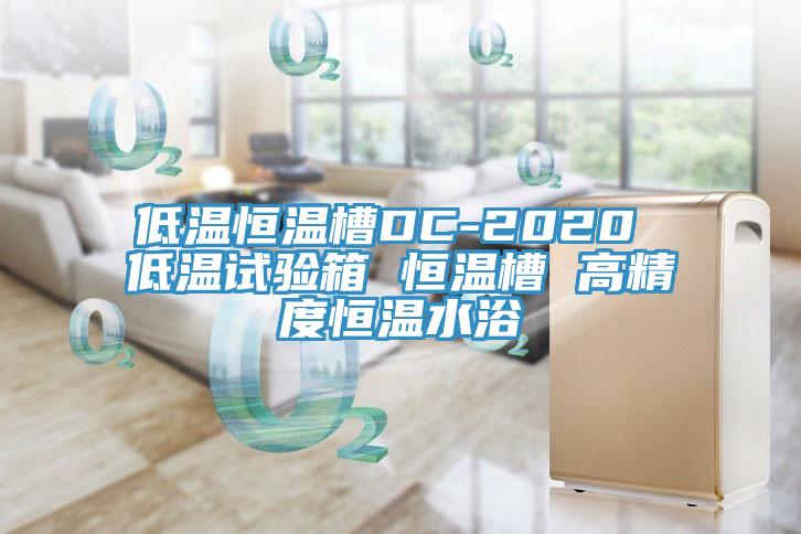 低溫恒溫槽DC-2020 低溫試驗(yàn)箱 恒溫槽 高精度恒溫水浴