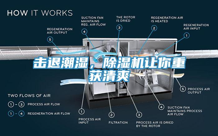 擊退潮濕，除濕機讓你重獲清爽