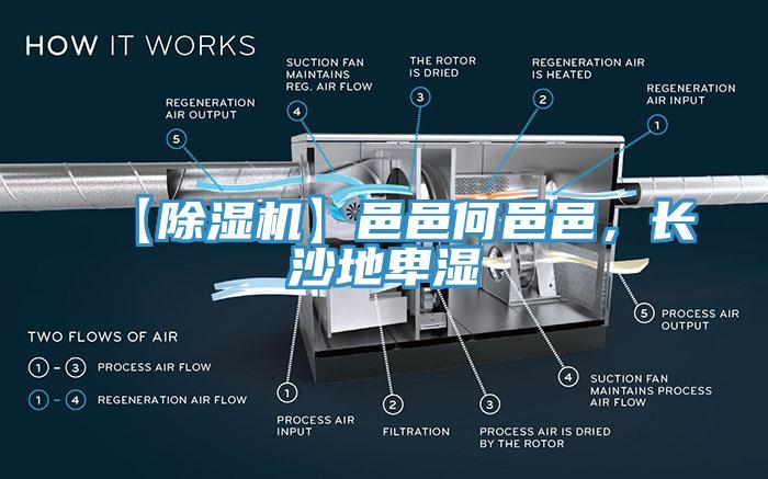 【除濕機】邑邑何邑邑，長沙地卑濕