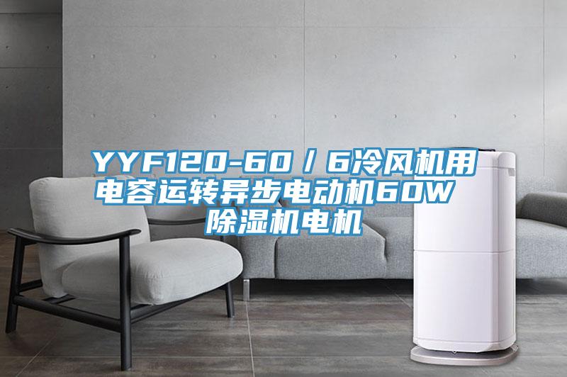 YYF120-60／6冷風(fēng)機用電容運轉(zhuǎn)異步電動機60W 除濕機電機