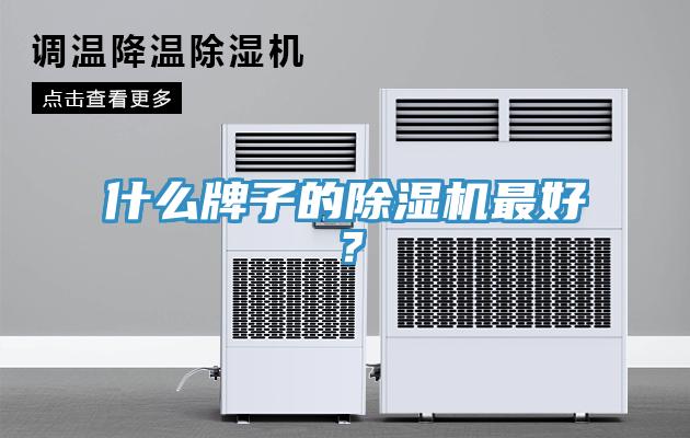 什么牌子的除濕機最好？