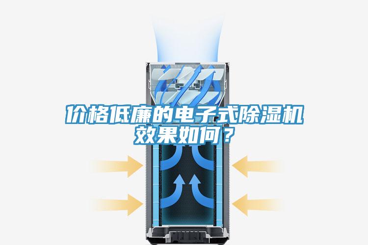 價(jià)格低廉的電子式除濕機(jī)效果如何？