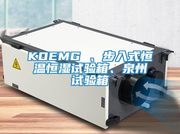 KOEMG 、步入式恒溫恒濕試驗箱、泉州試驗箱