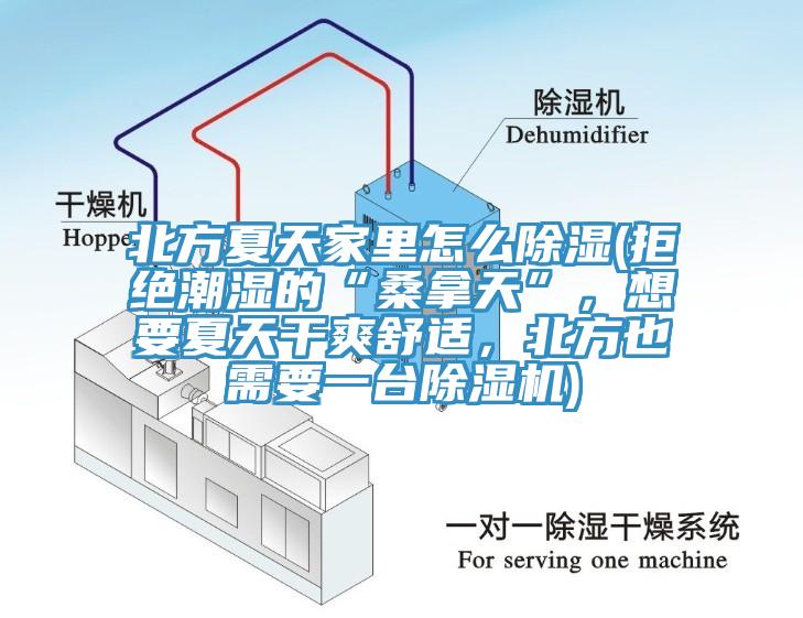 北方夏天家里怎么除濕(拒絕潮濕的“桑拿天”，想要夏天干爽舒適，北方也需要一臺(tái)除濕機(jī))