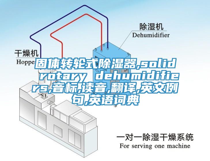 固體轉輪式除濕器,solid rotary dehumidifiers,音標,讀音,翻譯,英文例句,英語詞典