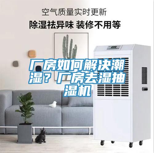 廠房如何解決潮濕？廠房去濕抽濕機