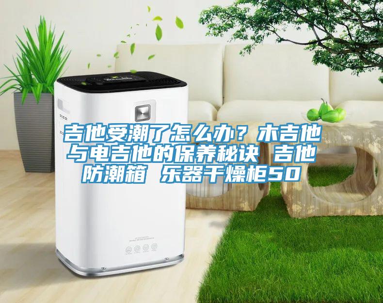 吉他受潮了怎么辦？木吉他與電吉他的保養(yǎng)秘訣 吉他防潮箱 樂器干燥柜50